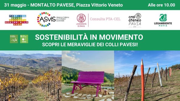 31 maggio